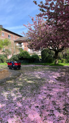 Grosstagespflege „Die kleinen Helden“ - Ihre Familiennahe Kinderbetreuung Grosstagespflege „Die kleinen Helden“ - Ihre Familiennahe Kinderbetreuung